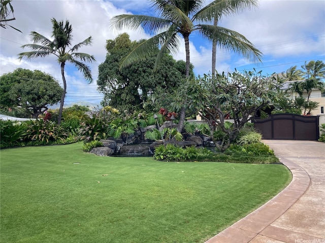 255/257 Portlock Rd, Honolulu, HI 96825 - photo 17
