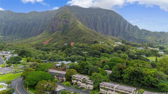 46-425 Kahuhipa St Unit A, Kaneohe, HI 96744 - photo 5