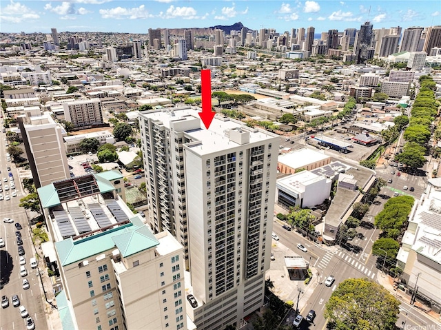 1315 Kalakaua Ave Unit 1509, Honolulu, HI 96826 - photo 20