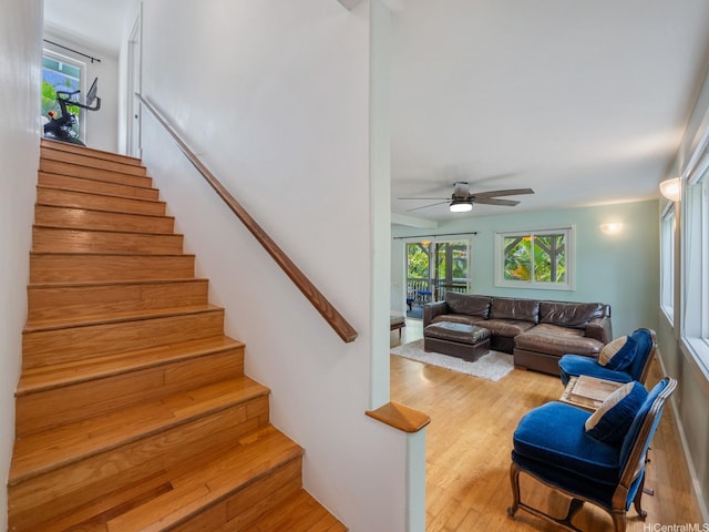 567 Kawailoa Rd Unit D, Kailua, HI 96734 - photo 12