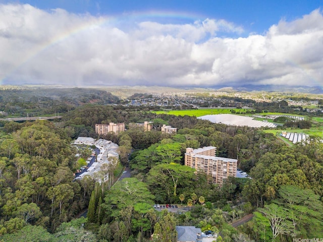 95-227 Waikalani Dr Unit A102, Mililani, HI 96789 - photo 20