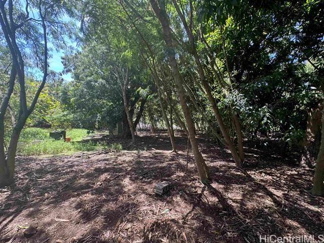 7308 Kamehameha V Hwy, Kaunakakai, HI 96748 - photo 8