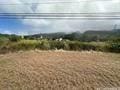 7308 Kamehameha V Hwy, Kaunakakai, HI 96748 - photo 18