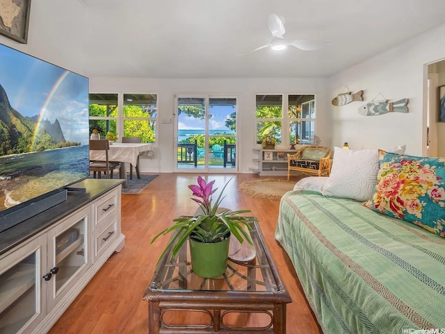 91-521A Hapalua St, Ewa Beach, HI 96706 - photo 6