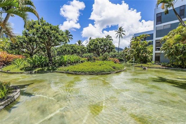 1030 Aoloa Pl Unit 104A, Kailua, HI 96734 - photo 20