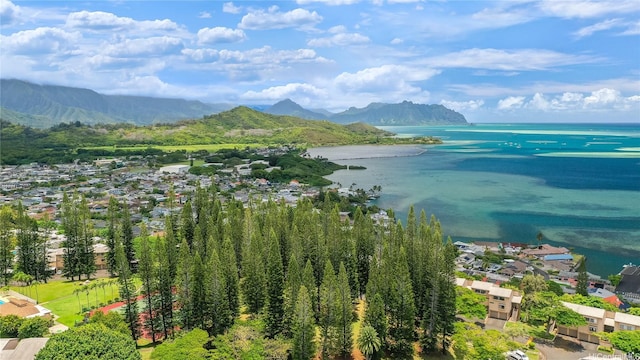 46-60 Konane Pl Unit 3615, Kaneohe, HI 96744 - photo 21