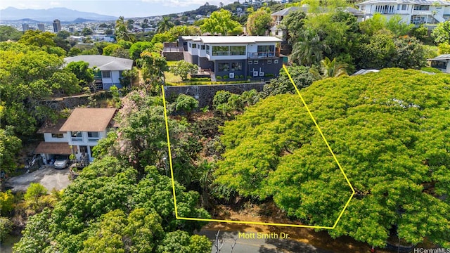 2103 Kalawahine Pl, Honolulu, HI 96822 - photo 24
