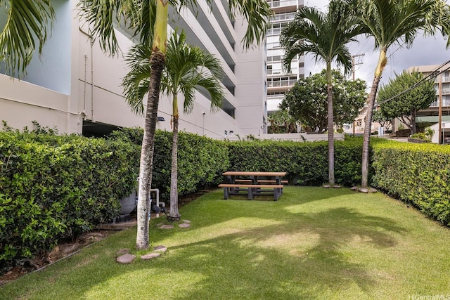 1516 Ward Ave Unit 302, Honolulu, HI 96822 - photo 17