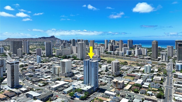 2100 Date St Unit 103, Honolulu, HI 96826 - photo 21
