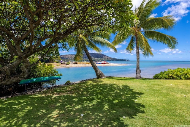 125-A Maunalua Ave Unit 9, Honolulu, HI 96821 - photo 22