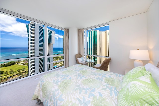 88 Piikoi St Unit 3009, Honolulu, HI 96814 - photo 24
