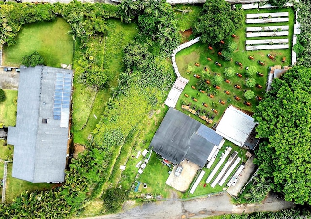47-062 Okana Pl, Kaneohe, HI 96744 - photo 10