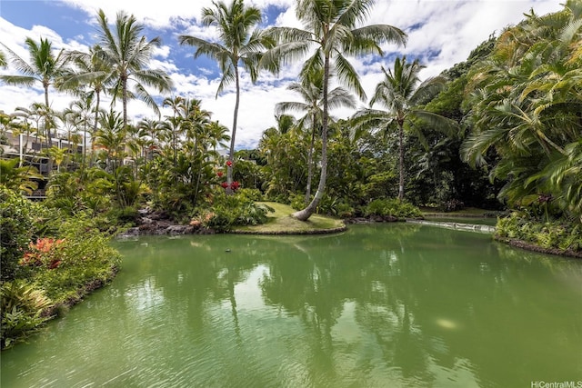 1020 Aoloa Pl Unit 110A, Kailua, HI 96734 - photo 11