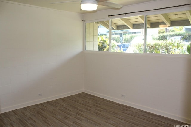 1450 Hunakai St Unit 95, Honolulu, HI 96816 - photo 8
