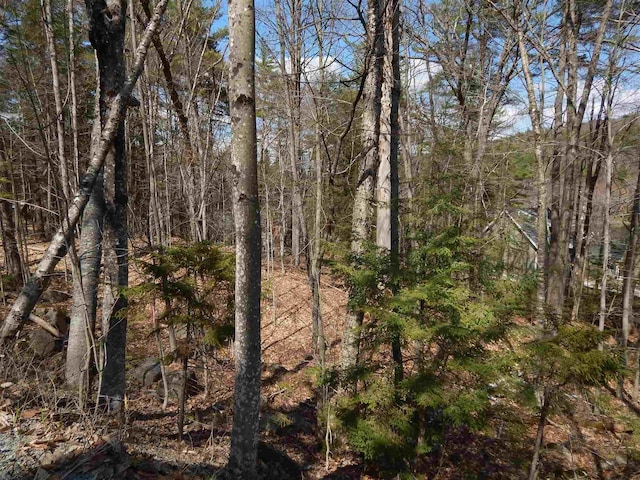 LOT61 Hilltop Dr, Newbury NH, 03255 land for sale