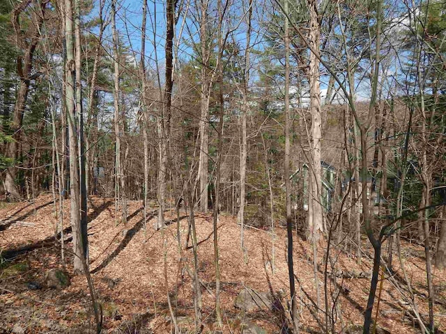 Listing photo 3 for LOT61 Hilltop Dr, Newbury NH 03255