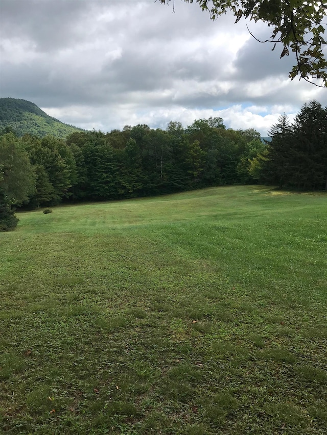 LOT7 Steinberg Rd, Brandon VT, 05733 land for sale