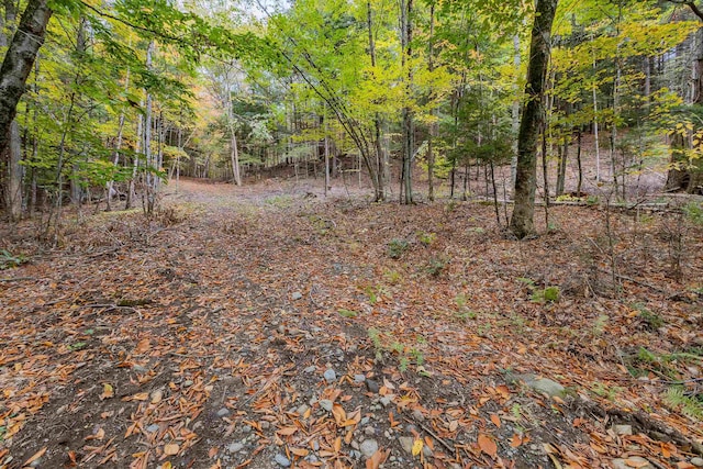 62 Stevens Rd, Hanover NH, 03755 land for sale