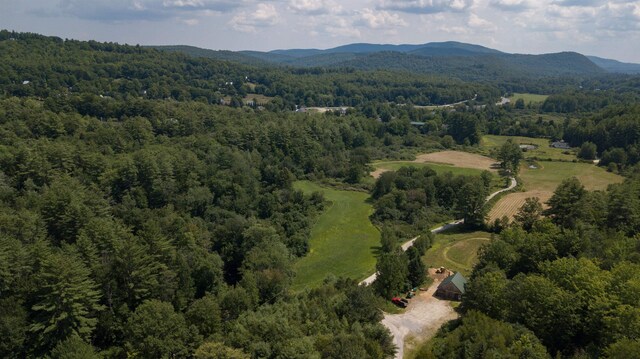 aerial view with a mountain view