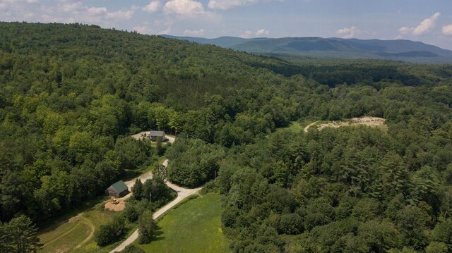 birds eye view of property featuring a mountain view