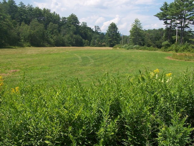 view of local wilderness with a rural view