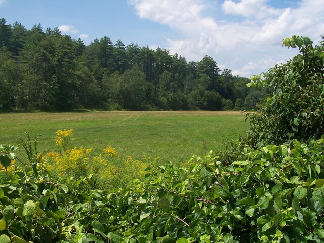 view of local wilderness featuring a rural view