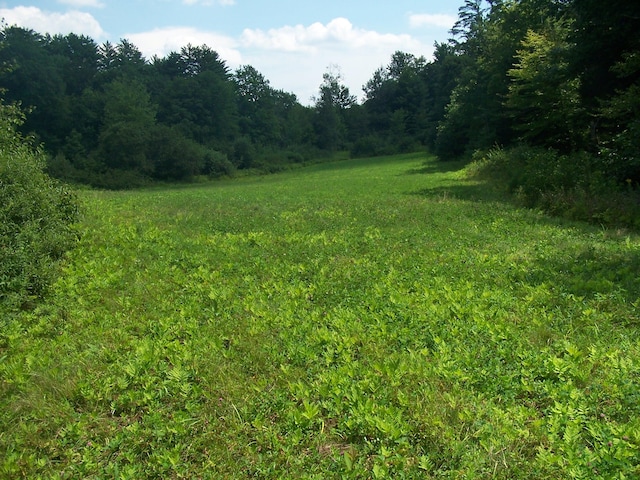 view of landscape