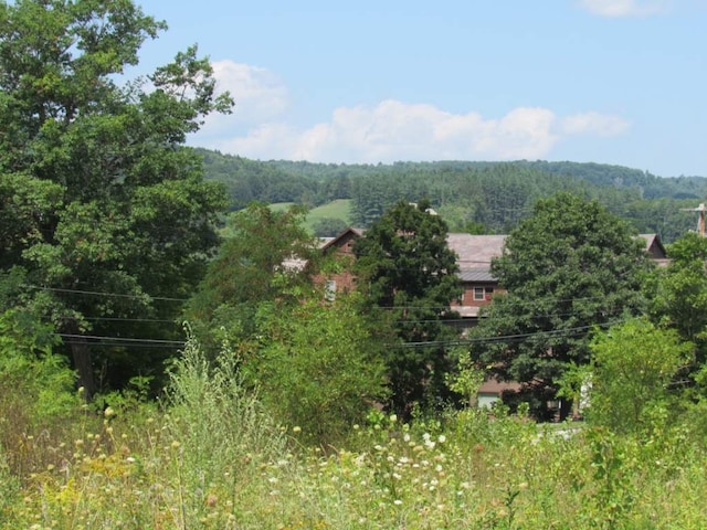 Listing photo 3 for 458 Woodstock Rd, Woodstock VT 05091