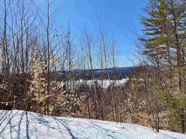 00 Nutter Dr, Alton NH, 03809 land for sale