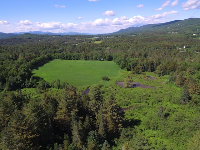 813 Plunkton Rd, Warren VT, 05674 land for sale