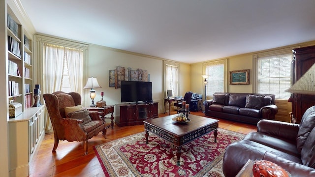 living room with light hardwood / wood-style floors and plenty of natural light