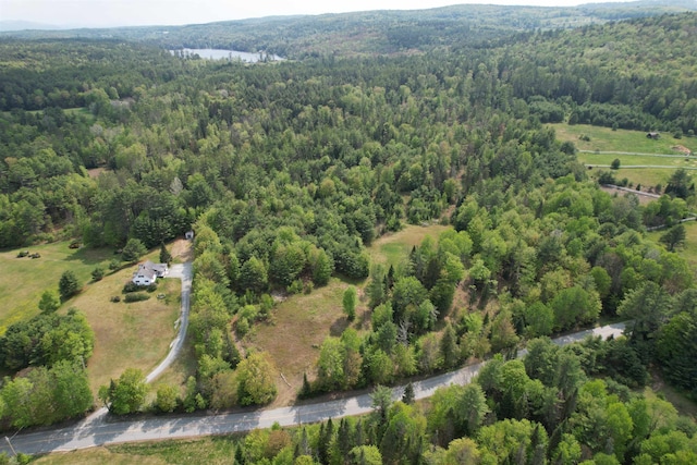 3886 Scotch Hollow Rd, Newbury VT, 05051 land for sale