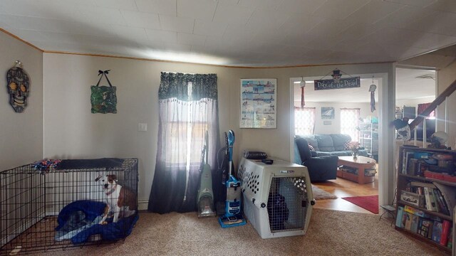 1161 Ethan Allen Hwy, Georgia, VT 05454 - interior space with light colored carpet and multiple windows