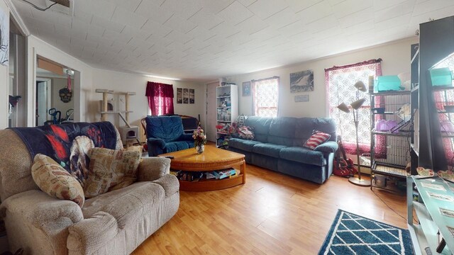 1161 Ethan Allen Hwy, Georgia, VT 05454 - living room with light hardwood / wood-style floors