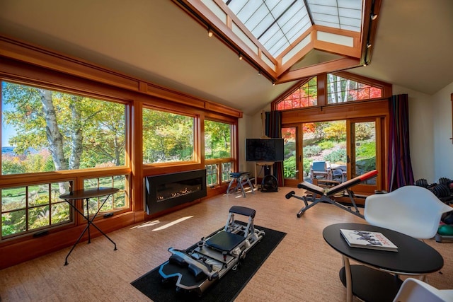 exercise area featuring light colored carpet, a skylight, a healthy amount of sunlight, and high vaulted ceiling