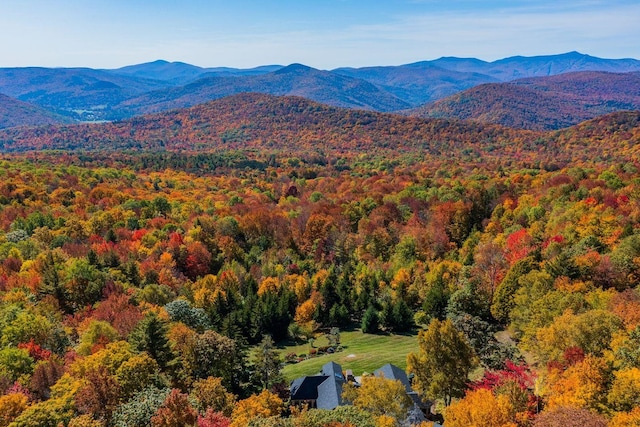 view of mountain view