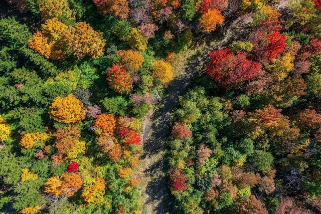 view of drone / aerial view