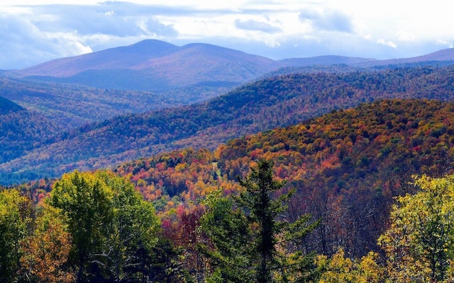 view of mountain feature