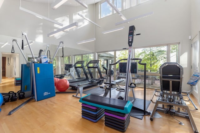 exercise room with a healthy amount of sunlight, wood-type flooring, and a towering ceiling