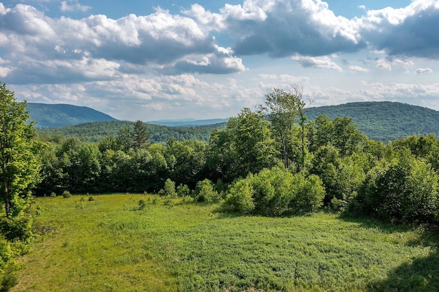 1809 Marsh Hill Rd, Andover VT, 05143 land for sale