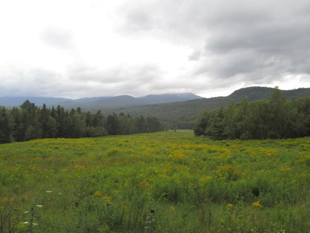 view of mountain feature