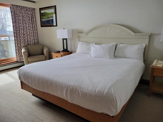 bedroom featuring a baseboard heating unit and carpet floors