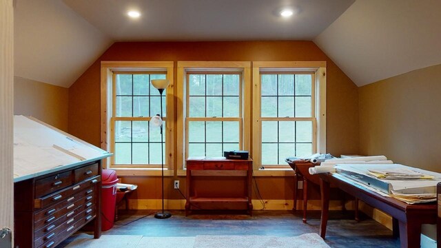 office featuring dark hardwood / wood-style flooring, a wealth of natural light, and vaulted ceiling