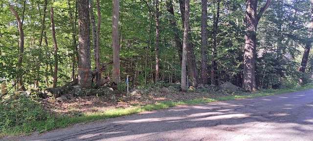 16-4 W St, Antrim NH, 03440 land for sale