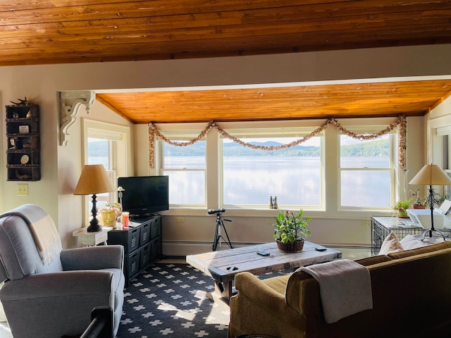 43 Jackson Lodge Rd, Canaan, VT 05903 - living room featuring lofted ceiling, baseboard heating, and wood ceiling