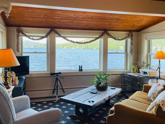 43 Jackson Lodge Rd, Canaan, VT 05903 - living room with a baseboard heating unit, lofted ceiling, and wood ceiling