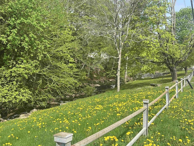 41 Lawrence Hill Rd, Weston, VT 05161 - view of yard