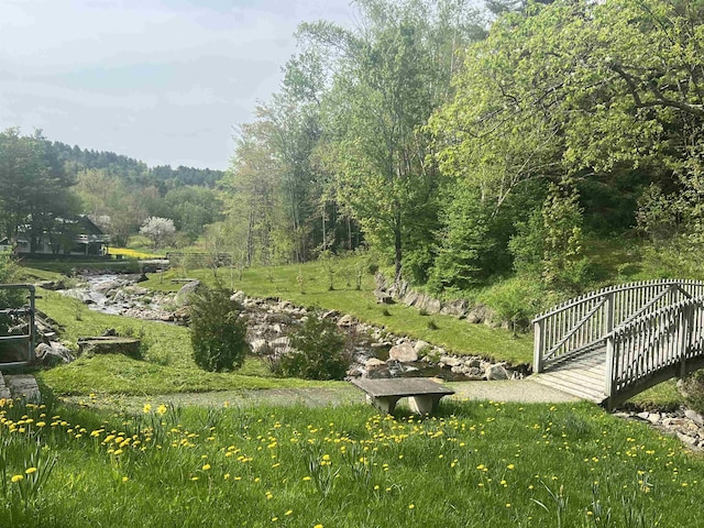 41 Lawrence Hill Rd, Weston, VT 05161 - view of property's community with a forest view