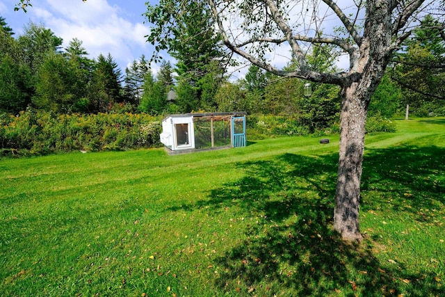 view of yard with exterior structure and an outdoor structure