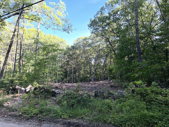 Listing photo 2 for LOT1N-1 Mitchell Rd, Nottingham NH 03290